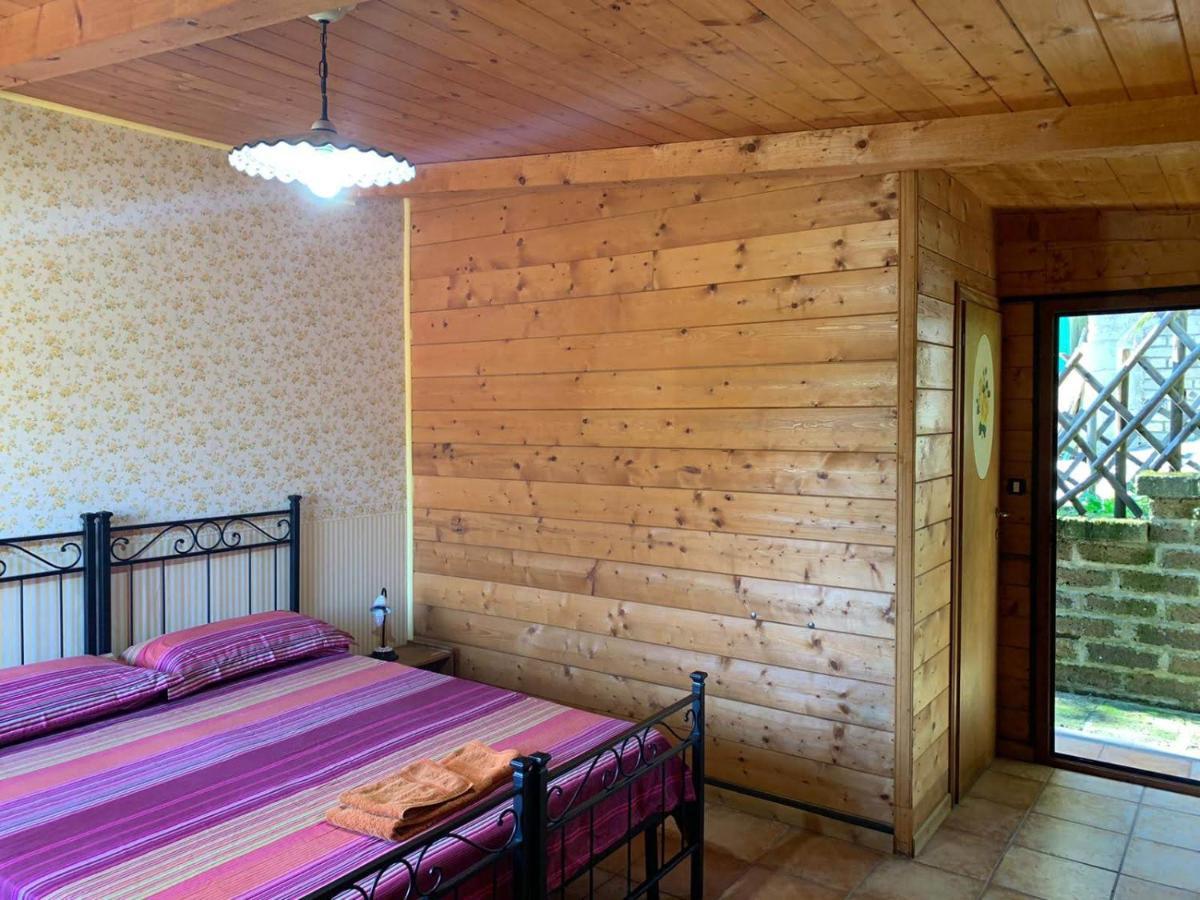 Night In The Wood Sorbo Villa Campagnano Di Roma Exterior photo