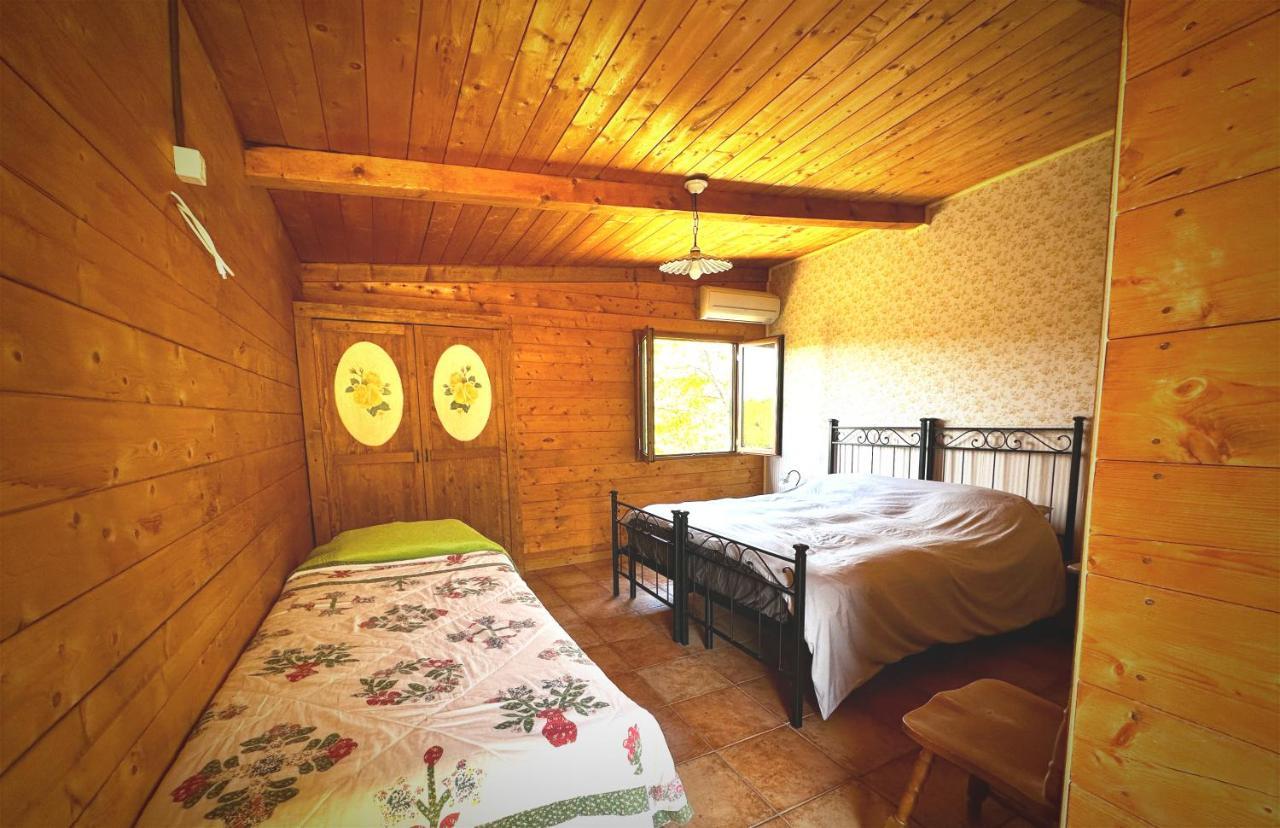 Night In The Wood Sorbo Villa Campagnano Di Roma Exterior photo