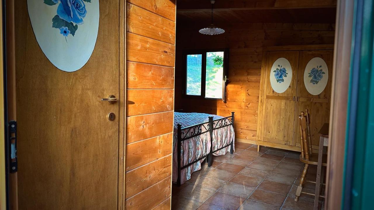 Night In The Wood Sorbo Villa Campagnano Di Roma Exterior photo