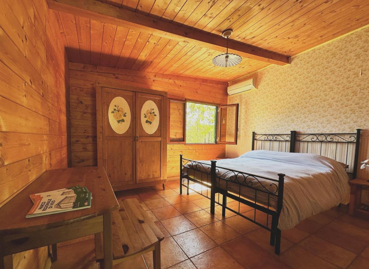 Night In The Wood Sorbo Villa Campagnano Di Roma Exterior photo