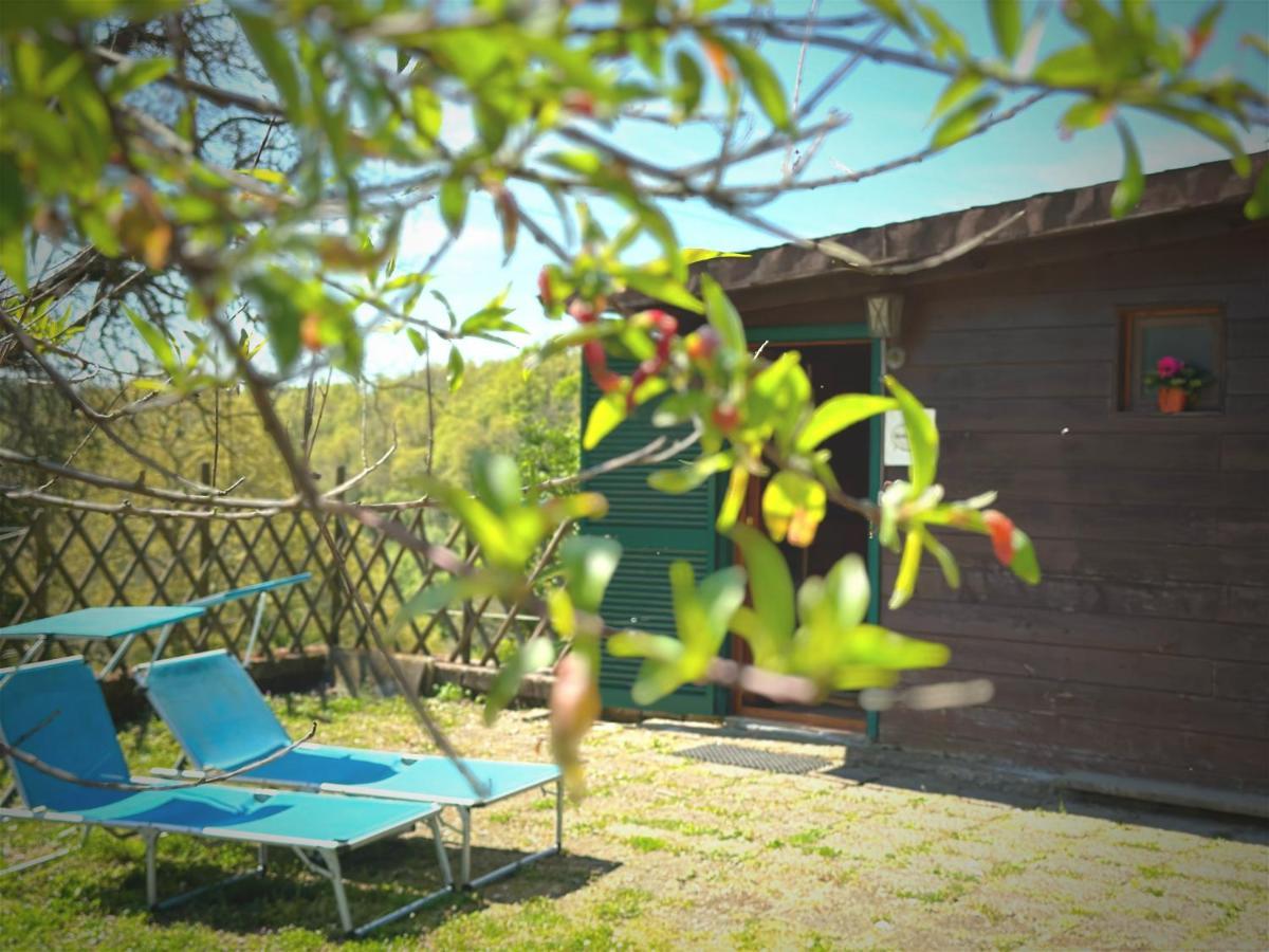 Night In The Wood Sorbo Villa Campagnano Di Roma Exterior photo